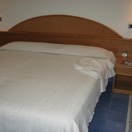 竞技酒店 维克艾库塞