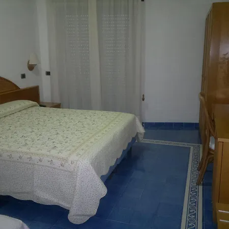 スポーティング 4*