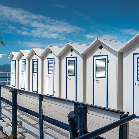 スポーティング 4*